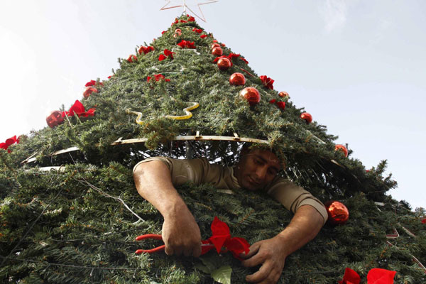 Worker makes Christmas tree ready