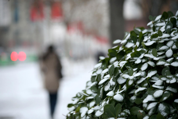Snow blankets parts of China