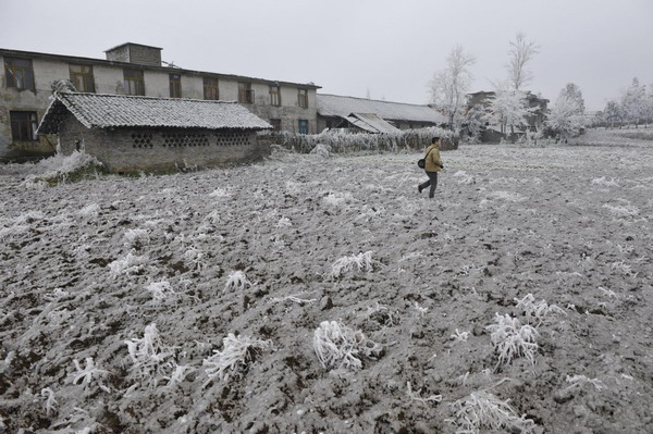 Frozen weather paralyzes SW province