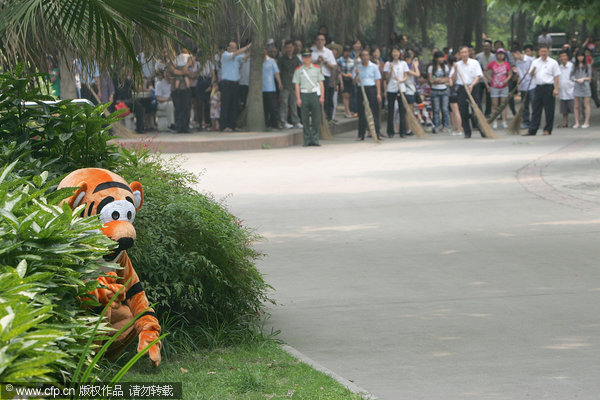 A tiger hunting game in SW China zoo