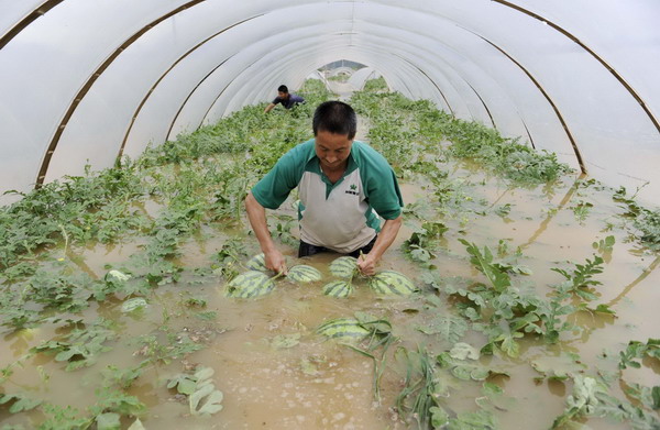 Flood hits E China's Zhejiang province