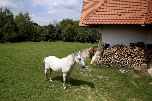 Hungarian equestrians prepare for performance