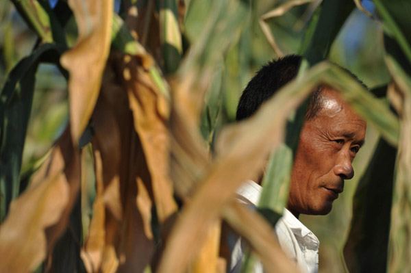 A farmer's thirst to battle the drought