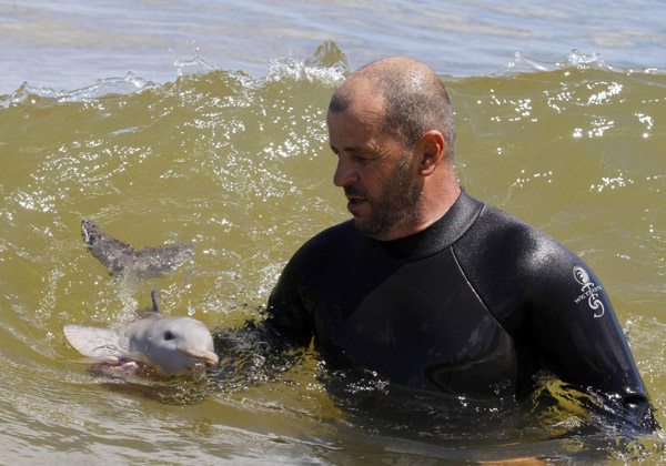 Baby dolphin rescued