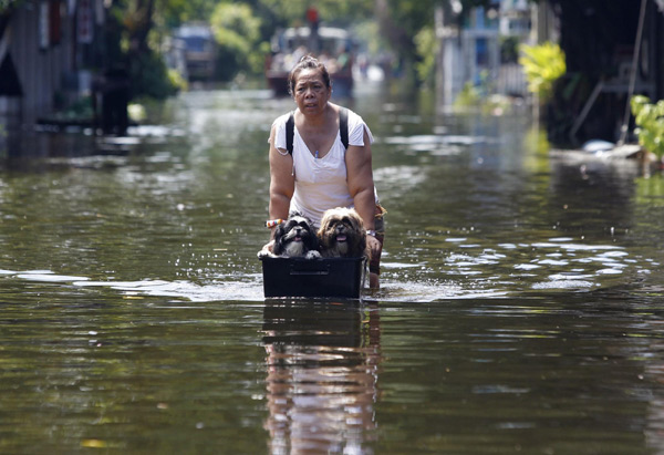 Bangkok flood kills 377, affects 2.2 million
