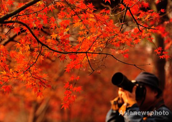 E China bursts with fall colors