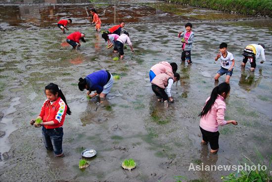 Children help with spring plowing in SW China