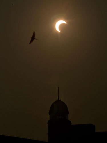 Rare social eclipse watched around China