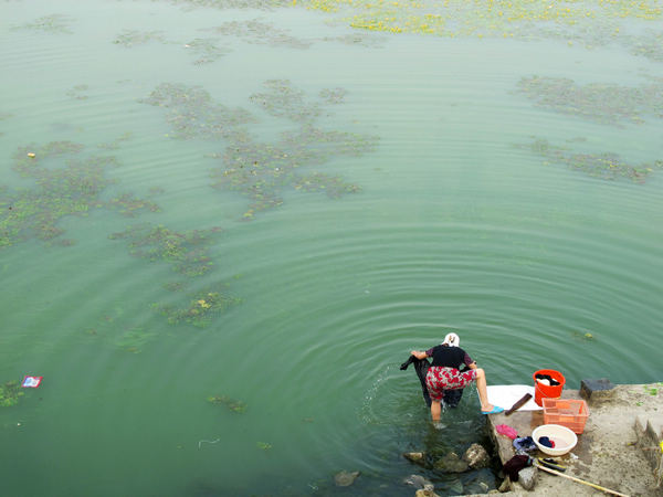Blue-green algae gathers in E China lake