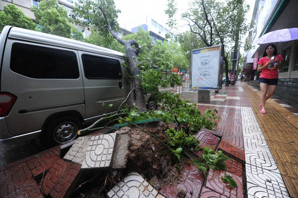 Typhoon Haikui wreaks havoc after landing