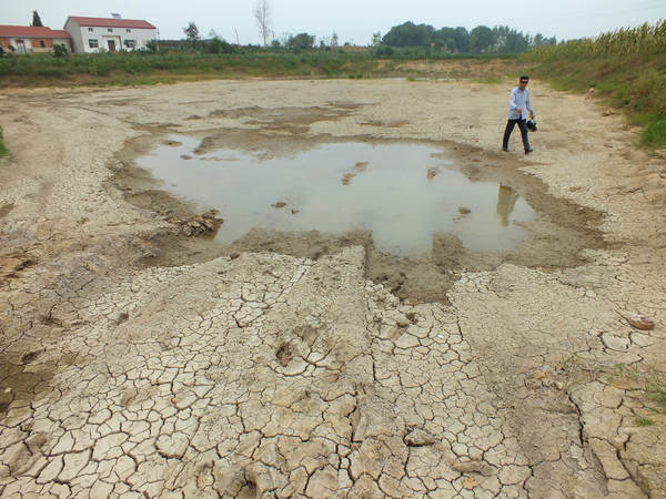 Drought hurts crops, fish in C China