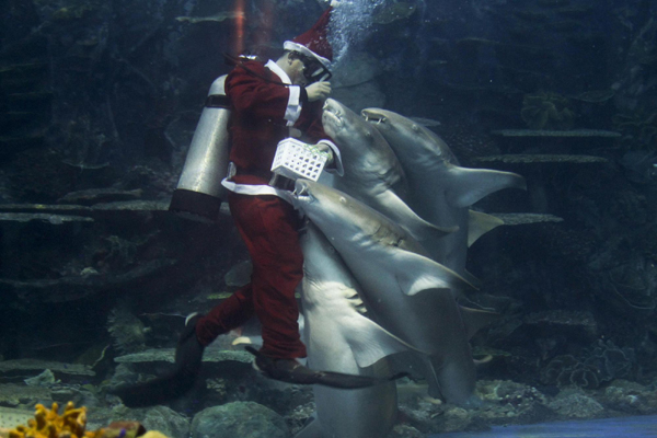 Santa Claus goes underwater