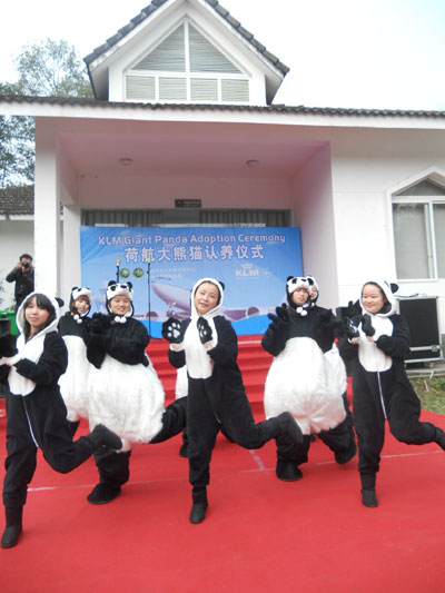 Dutch airline adopts a panda from China