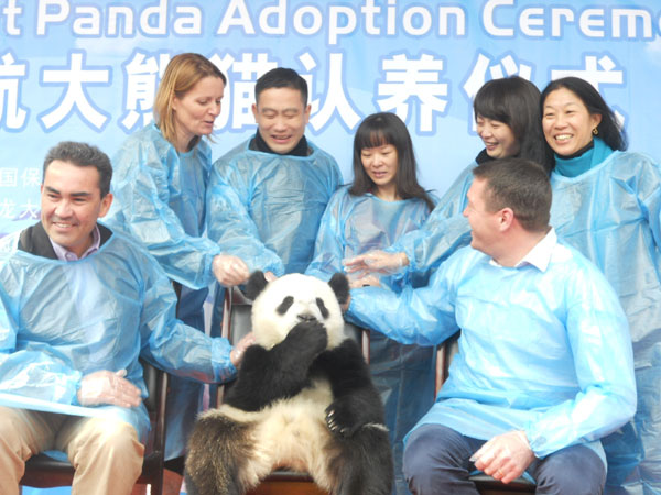Dutch airline adopts a panda from China