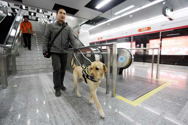 Hangzhou subway welcomes its first guide dog