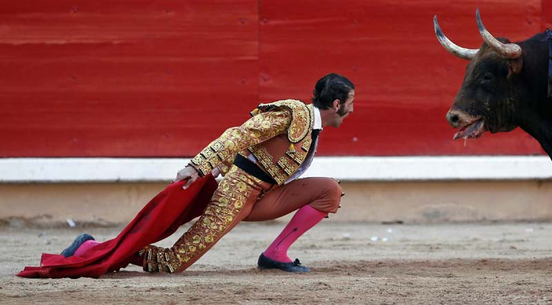 Reuters images of the year 2012 - Festival