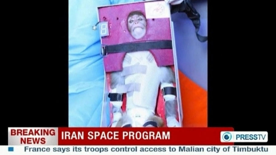 Iran sends monkey into space