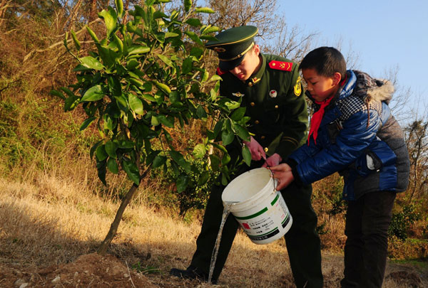Planting trees across China