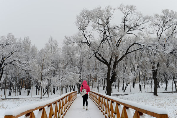 Beijing blanketed by spring snow