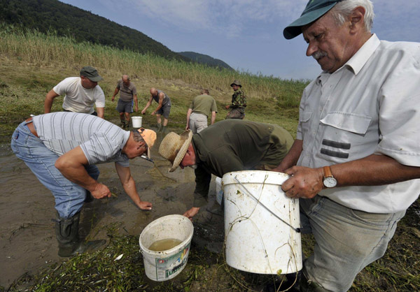 Fish rescued after lake dried up