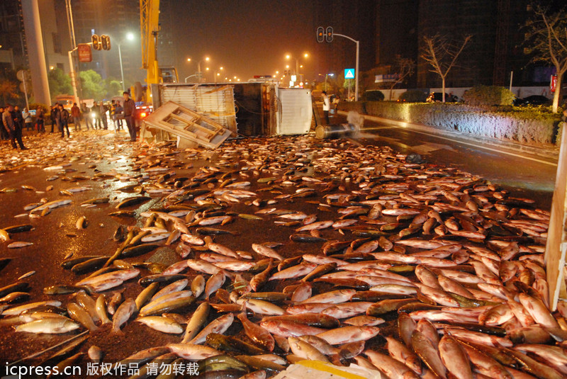 Massive fish spill in C China