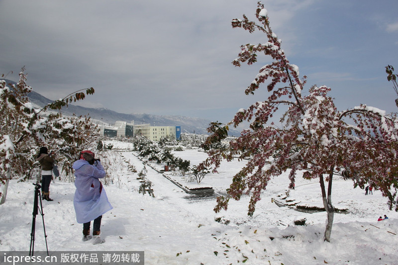 Snow hits SW China's Yunnan province