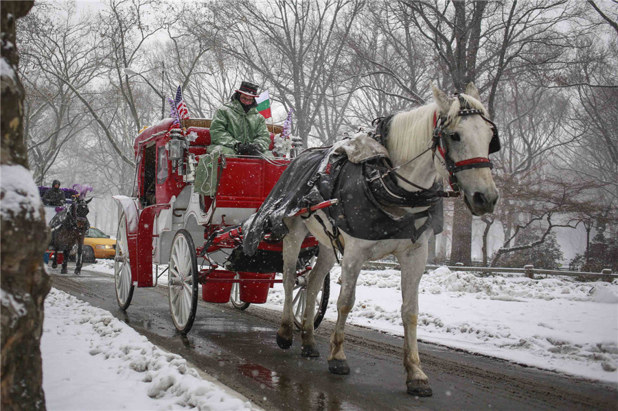 Snow storm wallops NE USA