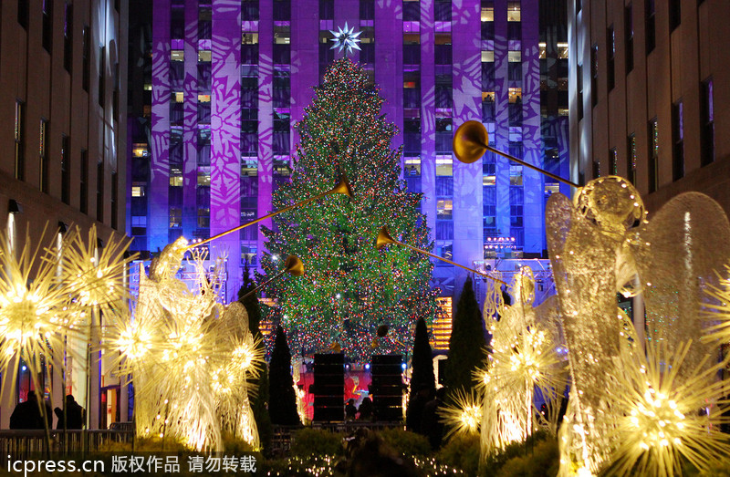 Beautiful Christmas trees around the world