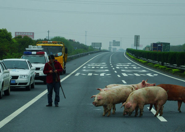 Photo special: Highway, high risk