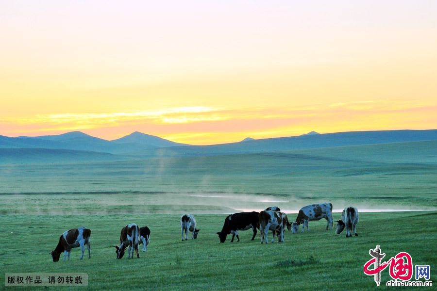 'Most unsullied grasslands' in China