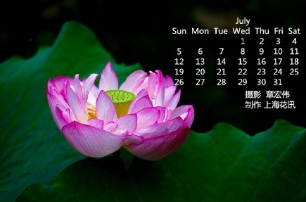 上海公园7月活动大盘点