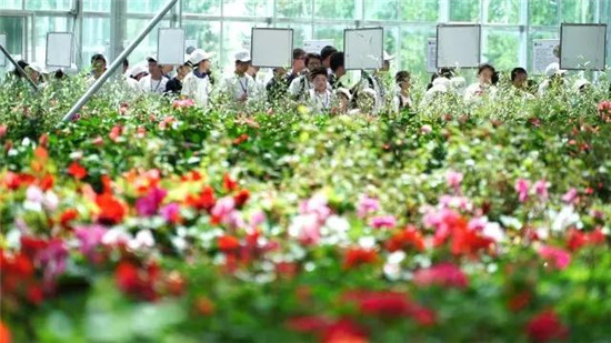 联合国环境署《全球环境展望》库布其沙漠实践营就差你啦！