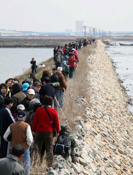 Bird lovers flock to Yalu River