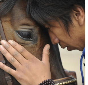 Tibet through the eyes of its people