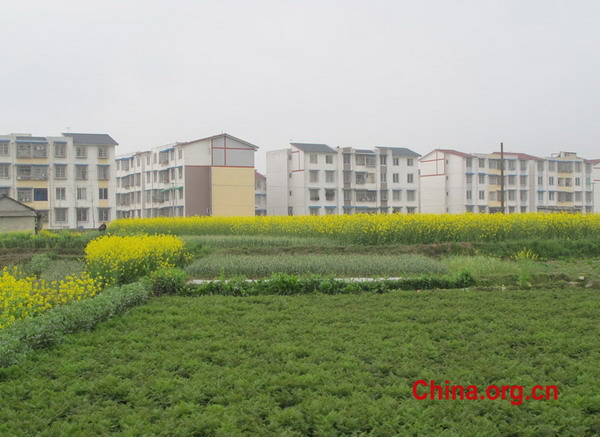 Pengzhou: 2008 VS 2011
