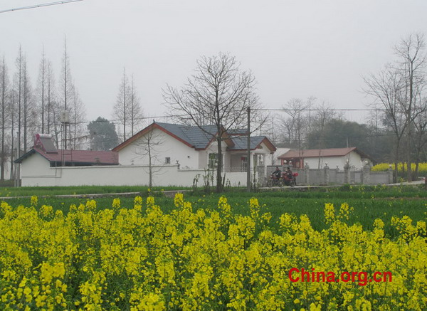 Pengzhou: 2008 VS 2011