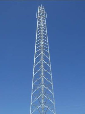 Projects in Overseas Market