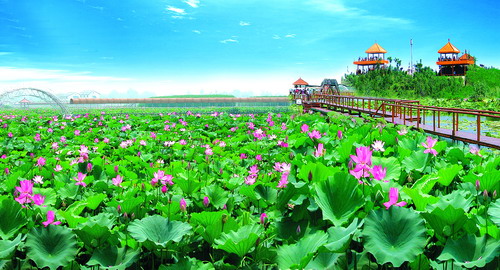 Hebei set to sharpen its cultural edge