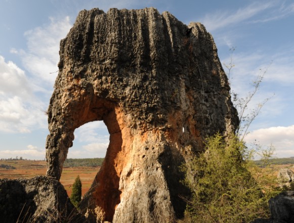 Rock elephant Elephant Rock