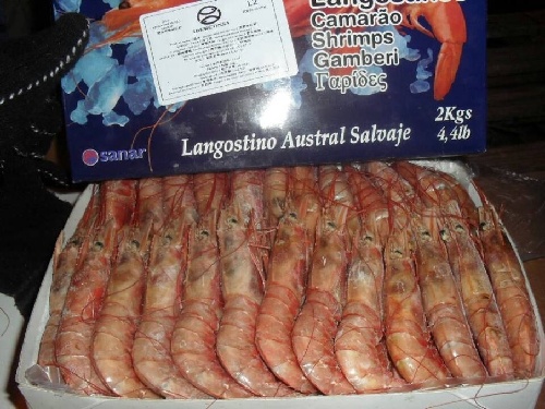 Argentine red shrimps