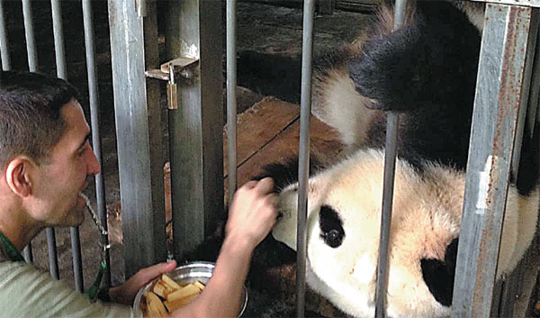 Playing with pandas