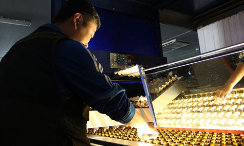 Shendan to bring about revolution in nationwide egg processing 