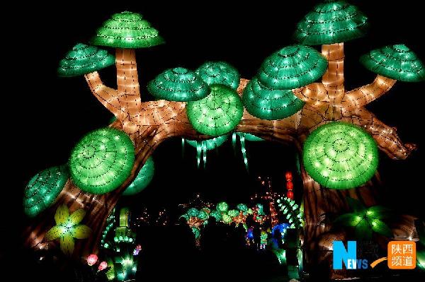 Xi’an welcomes Lunar New Year with vivid lantern display