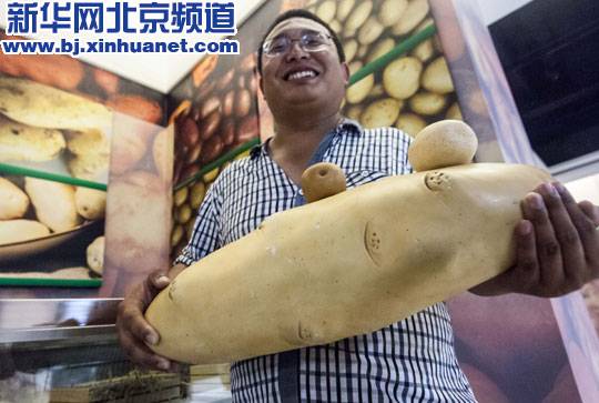 Yanqing develops into potato center of China
