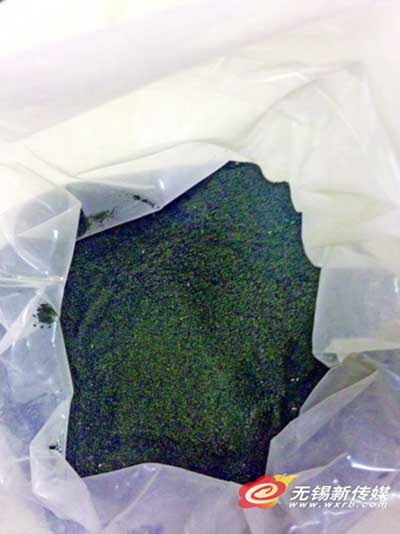 Wuxi gets export order for blue-green algae