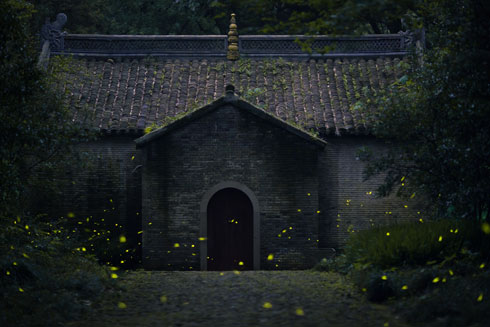 Linggu Temple bans vehicles to protect fireflies
