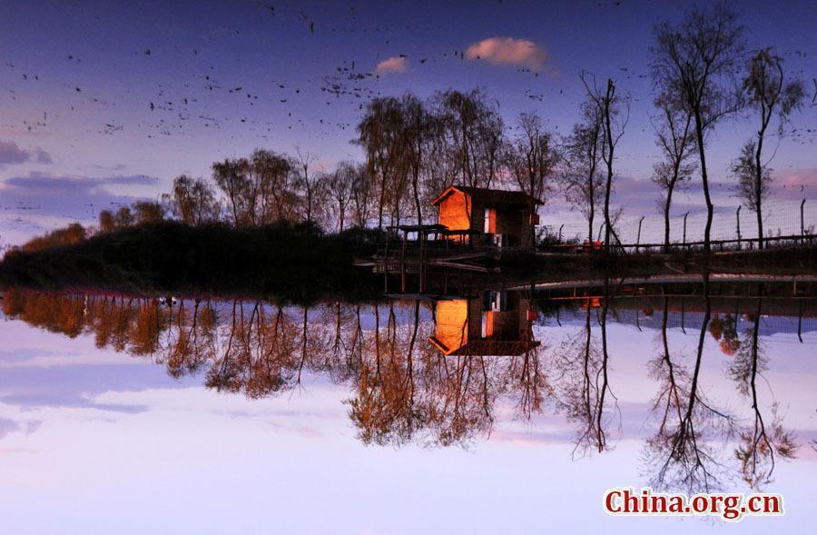 Amazing autumn scenery of Caohai Lake