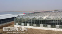 Updates of Harbin's Green Agriculture
