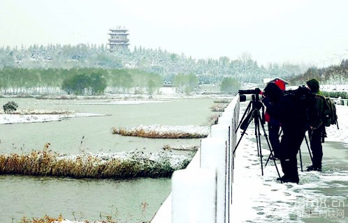 First snowfall brings new lease of life to Sanmenxia