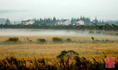 Rural societies go urbanized in Taiang
